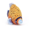 Jellycat Knuffels - Fishiful Orange, 16cm -Goedkope Speelgoed jellycat knuffels fishiful orange 16cm