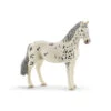 Schleich Schleich Horse Club - Knabstrupper Merrie -Goedkope Speelgoed schleich schleich horse club knabstrupper merrie
