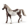 Schleich Schleich Horse Club - Paint Horse Hengst 1 Schleich Schleich Horse Club - Paint Horse Hengst -Goedkope Speelgoed schleich schleich horse club paint horse hengst